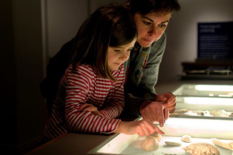 Fossil Discovery Center of Madera County, CA Soldavi Realty